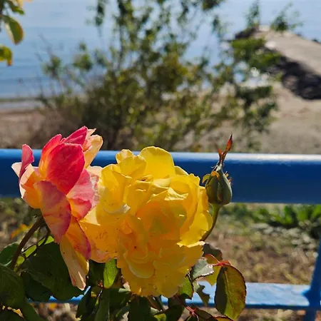 Boho Breeze Apartment