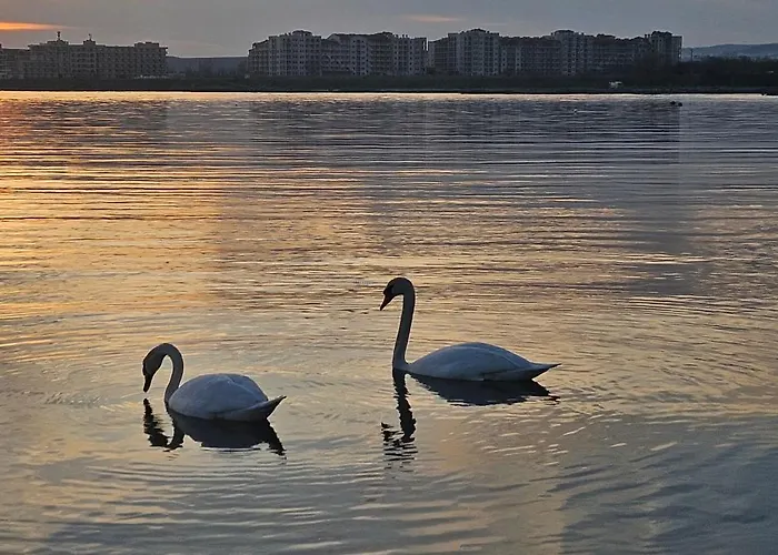 Boho Breeze Lägenhet *