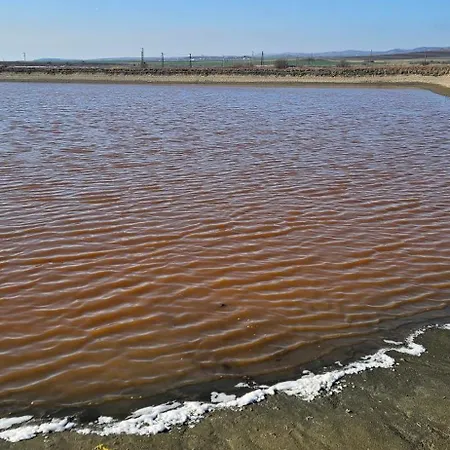 Boho Breeze 아헬로이