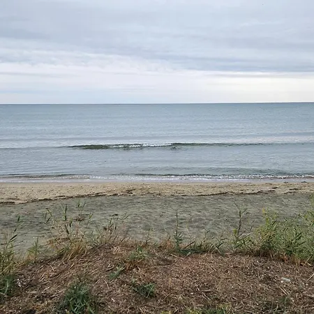 Boho Breeze * 아헬로이