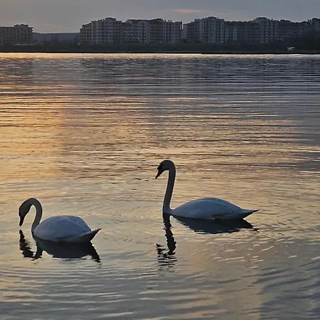 Boho Breeze Apartment *